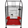 Baby fancy tame | plastic pots |