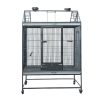 Fancy Tame | Excel 4ft with Partition |