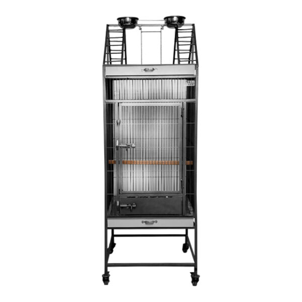 Fancy Tame | Normal 2ft | cage