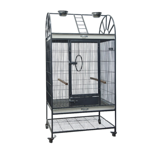 Fancy Tame | Super 3ft | cage